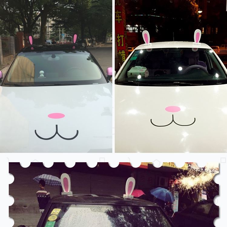 car roof sticker car roof sticker