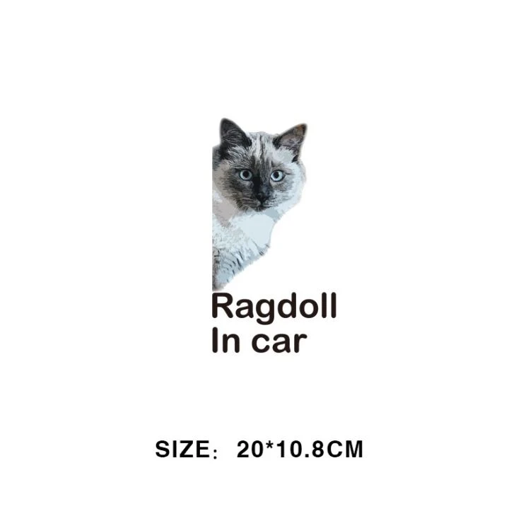 Cat Car Sticker