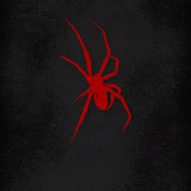 Spider Pattern Sticker For Car