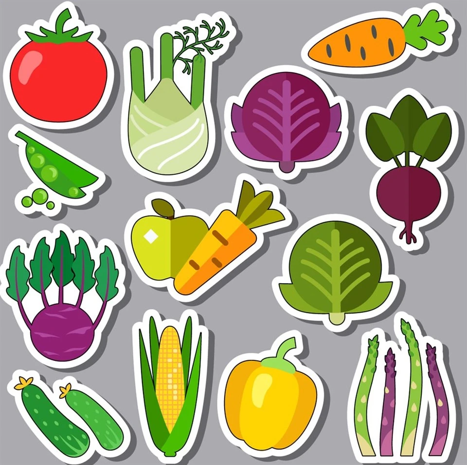 Adesivo de Carton Greens para educação precoce