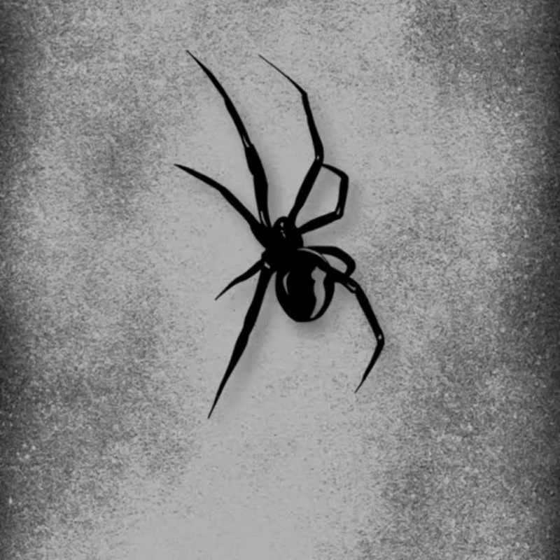 Adesivo padrão de aranha para carro