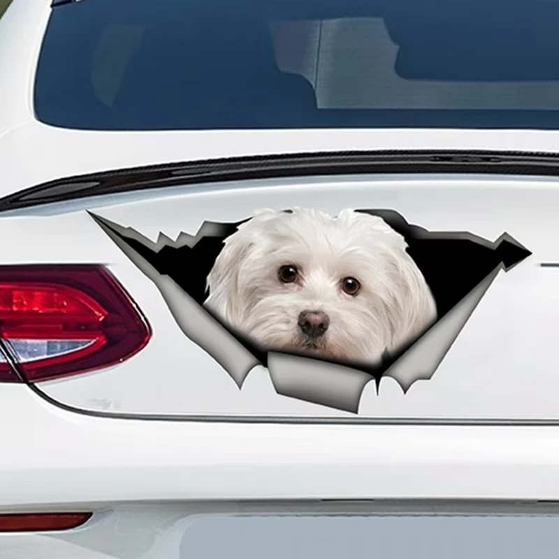 Decalques de cães de estimação de carros de animais