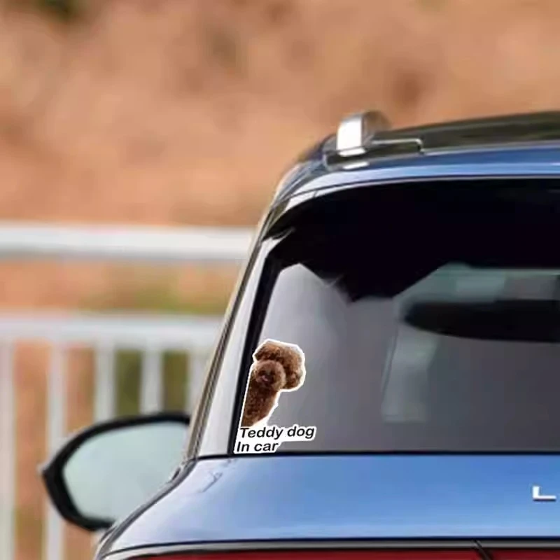 Adesivos de vinil para janelas de carros de animais