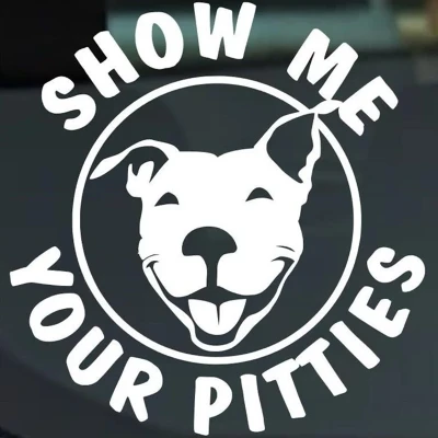 Decalque Pitty