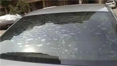 Como resolver o problema do aparecimento de bolhas nos adesivos dos carros - ...