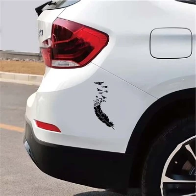 Adesivos de carro de penas de pássaros engraçados