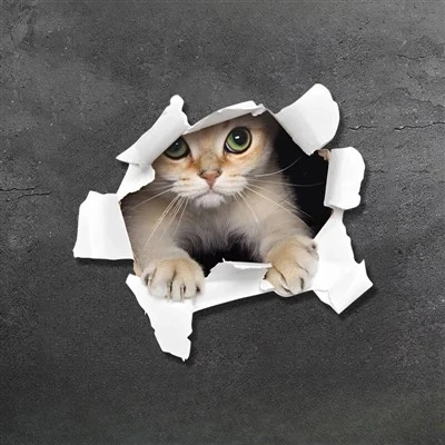 Cartoon 3D de adesivo para carros de animais para carro