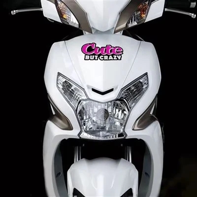 Adesivo decorativo fofo, mas maluco para carro