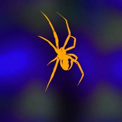 Adesivos coloridos de aranha para motocicleta