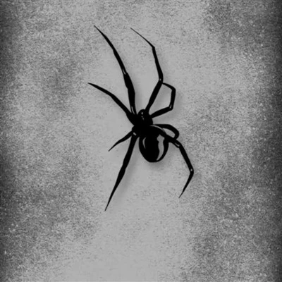 Adesivo padrão de aranha para carro