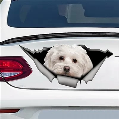 Decalques de cães de estimação de carros de animais