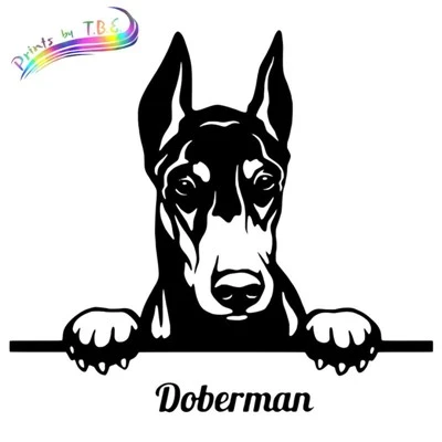 Adesivo Animal