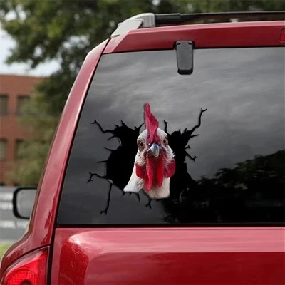 Cartoon 3D de frango adesivo para carro