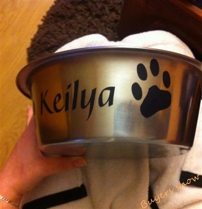 Decalques de nome de cães / gatos personalizados