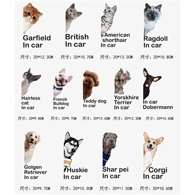 Adesivo de carro animal fofo