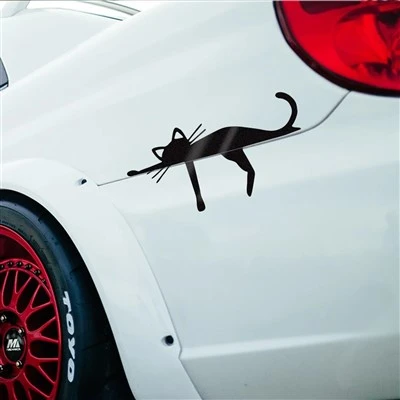 Adesivos de gato engraçado decalador de decalque de vinil