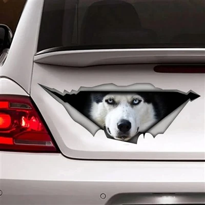 Selfo animal para cães de cão -cabeça - adesivo adesivo